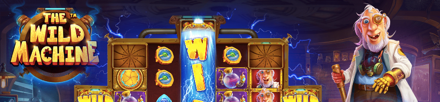 the wild machine pragmatic banner