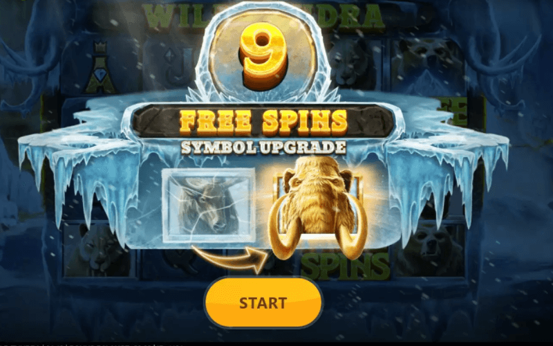 Wild Tundra free spins