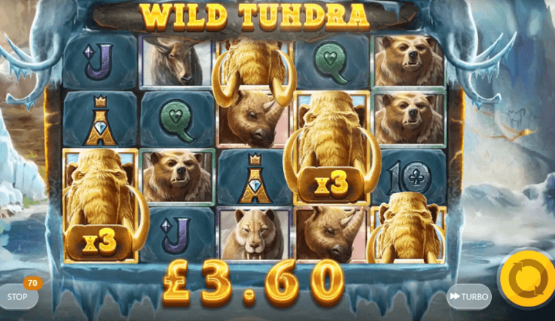 Wild Tundra wins
