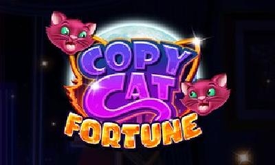 Copy Cat Fortune