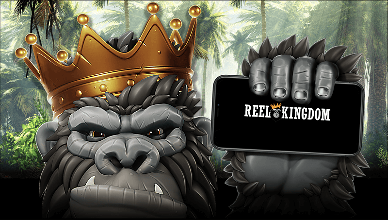 Reel Kingdom casino software developer
