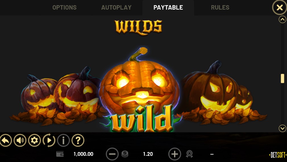 Rags to Witches Wild Symbols