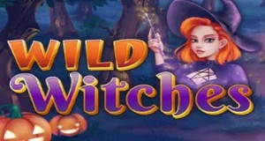 Wild Witches slot