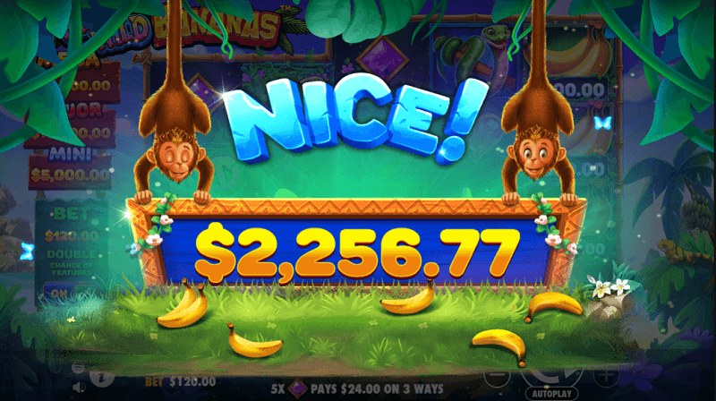 Wild Wild Bananas slot nice win